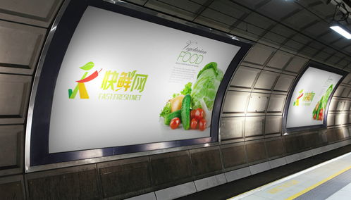 北京logo設(shè)計(jì)公司 互聯(lián)網(wǎng)果蔬食品logo設(shè)計(jì)及vi設(shè)計(jì)欣賞